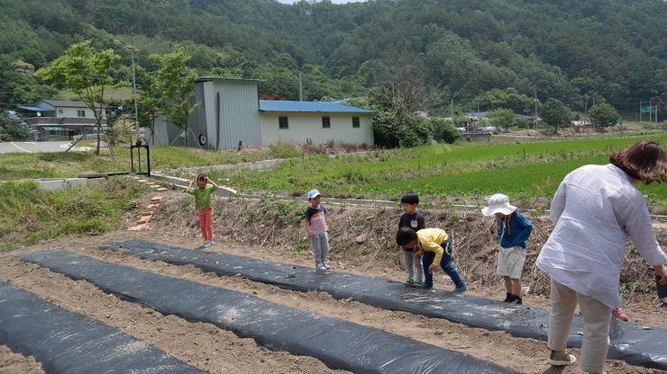이제 본격적으로 심어 볼까..