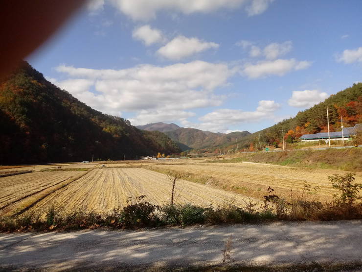 에코그린센타에서 바라본 일월산 풍경
