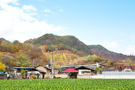 일월산마실권역 전경