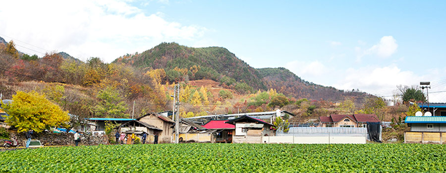 일월산마실권역 전경