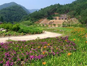 일원산자생화공원